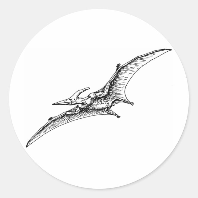 Pterodactyl Runder Aufkleber (Vorderseite)