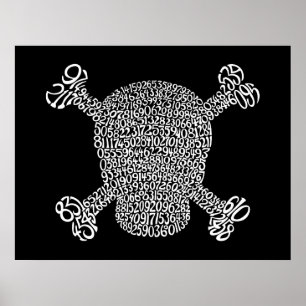 PU-Pirat Poster