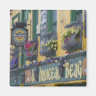 Pub, Dingle, Dingle-Halbinsel, County Kerry, Magnet