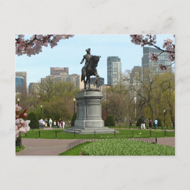 Public Garden Boston Massachusetts Postcard Feiertagspostkarte (Vorderseite)