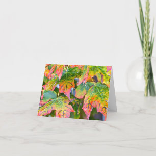 "PUBLIKUM/ROT,GELBE, GRÜNE" KARTE