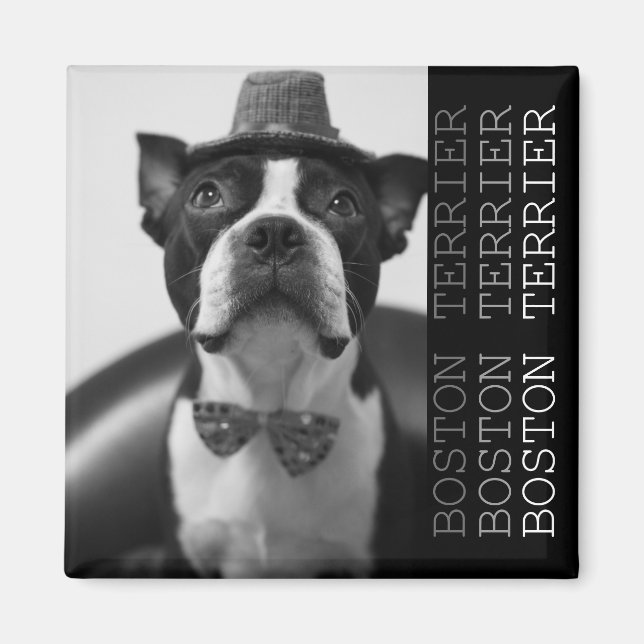 Pucca Magnets B Magnet (Vorne)