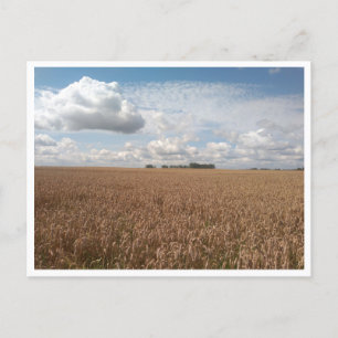 Puck (Polen) Postkarte
