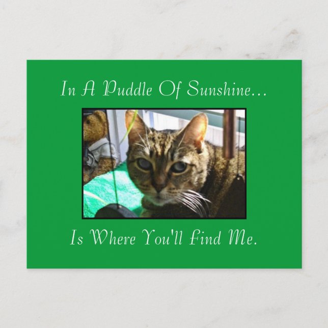 Puddle der Sunshine Postkarte (Vorderseite)