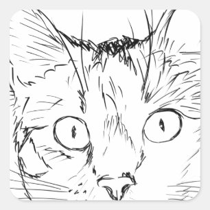 Puddy Cat Quadratischer Aufkleber