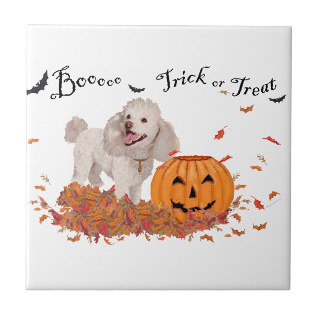 Pudel an Halloween Fliese (Vorderseite)