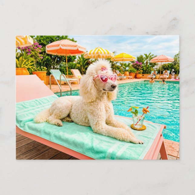 Pudel auf Liegestuhl Postkarte (Vorderseite)