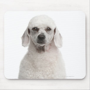 Pudel (einjährig) mousepad