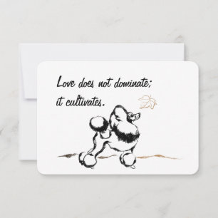 Pudel-Einladungen Einladung