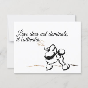 Pudel-Einladungen Einladung