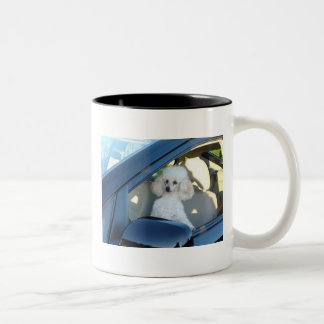 Pudel-Fahrer Zweifarbige Tasse