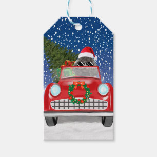 Pudel fährt Auto im Schnee Weihnachten Geschenkanhänger