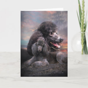 Pudel-Felsen ArtCard Karte