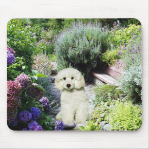 Pudel-Garten Mousepad