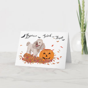 Pudel Halloween Karte