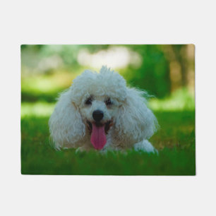 Pudel Hund. Fußmatte