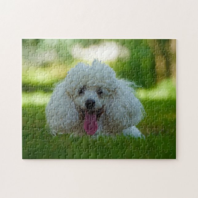 Pudel-Hunde. Puzzle (Horizontal)