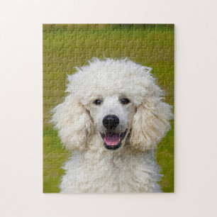 Pudel-Hunde. Puzzle