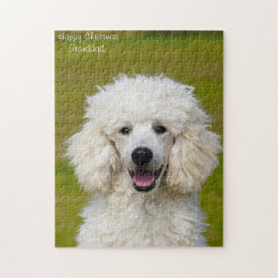 Pudel Hunde. Puzzle