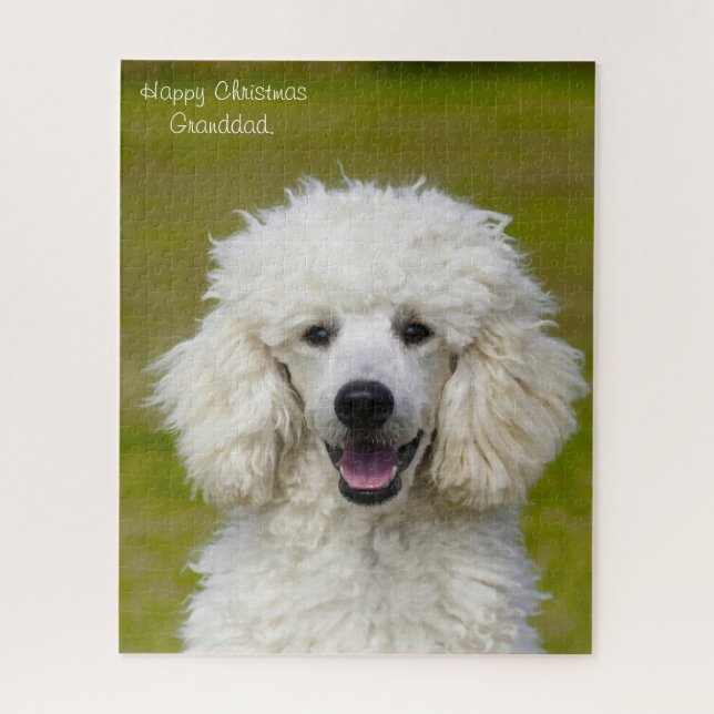 Pudel Hunde. Puzzle (Vertikal)