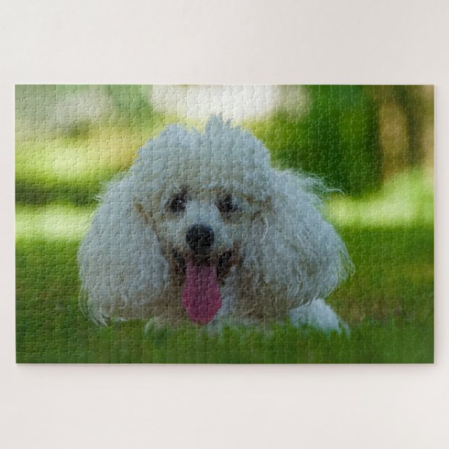 Pudel Hunde. Puzzle (Horizontal)