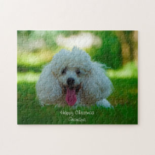 Pudel-Hunde. Puzzle