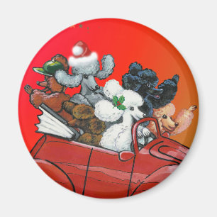 Pudel in rotem Cabrio-Weihnachten Magnet