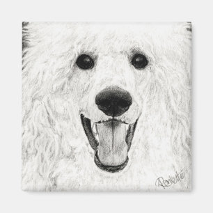 Pudel-Magnet - "lustiger Junge " Magnet