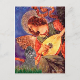Pudel - Mandolinen Engel Postkarte