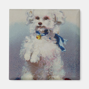 Pudel mit blauem Band Magnet