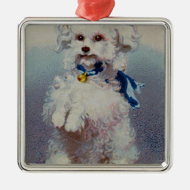 Pudel mit blauem Band Silbernes Ornament (Vorne)