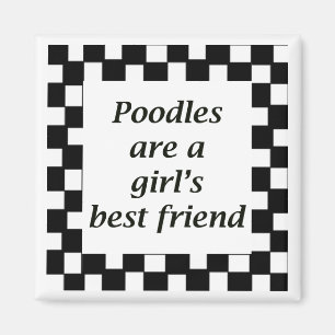 Pudel sind der beste Freund eines Mädchens Magnet