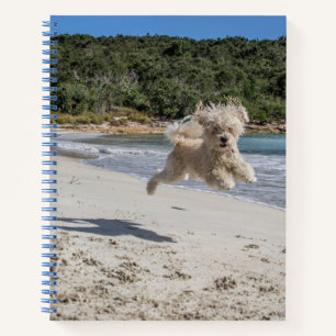 Pudel-Spiralblock Notizbuch