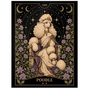Pudel, Sternen-Tarot-Kunst Postkarte