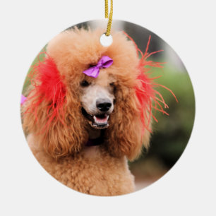 Pudel-Tag 2010 #1 Keramikornament