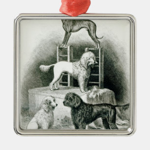 Pudel und Whippet - Gruppe von Herrn Waltons Silbernes Ornament