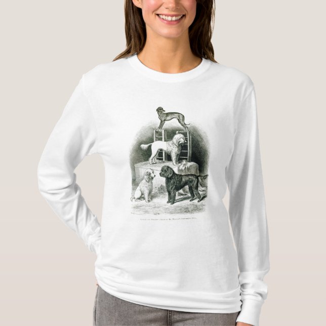Pudel und Whippet - Gruppe von Herrn Waltons T-Shirt (Vorderseite)