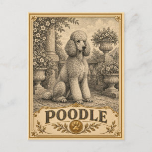 Pudel, Vintage Heritage Hund Postkarte