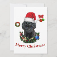 Pudel Weihnachten