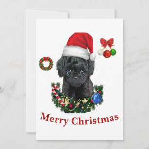 Pudel Weihnachten Einladung