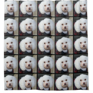 Pudelhundduschvorhang Duschvorhang