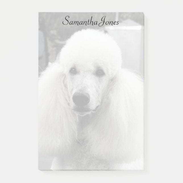 Pudelhundepost-itanmerkungen Post-it Klebezettel (Vorderseite)