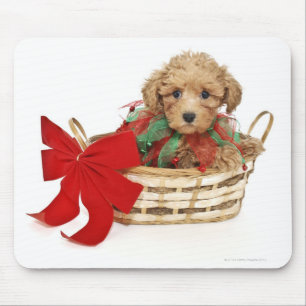 Pudelwelpe, der im Weihnachtskorb sitzt Mousepad