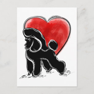 Pudelzeichnung Postkarte