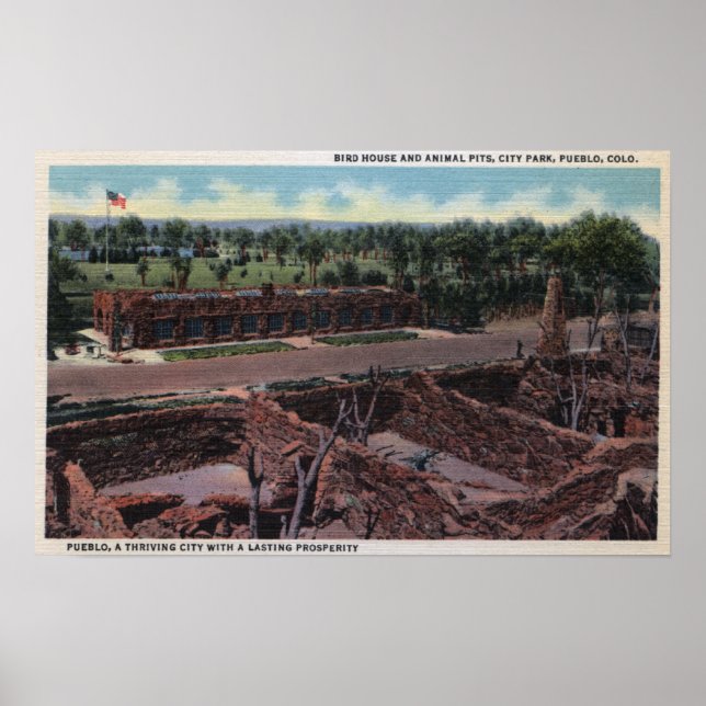 Pueblo, Colorado - Bird House & Animal Poster (Vorne)