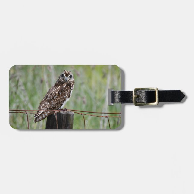 Pueo sitzt auf dem Zaun Gepäckanhänger (Vorderseite horizontal)