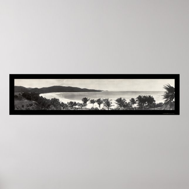 Puerto Rico Flamingo Foto 1914 Poster (Vorne)