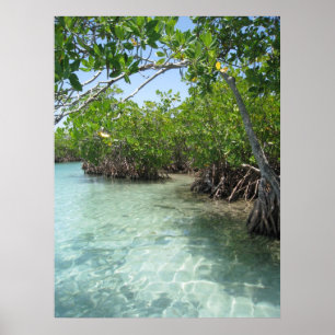 Puerto Rico Foto Poster