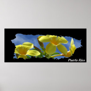 Puerto Rico Gelbe Blumen Insel Karte Poster
