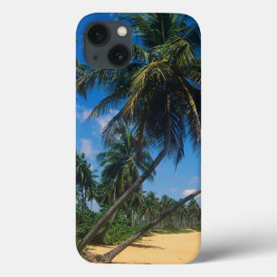 Puerto Rico, Isla Verde, Palmen Case-Mate iPhone Hülle